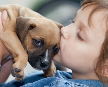 La importancia de adoptar mascotas
