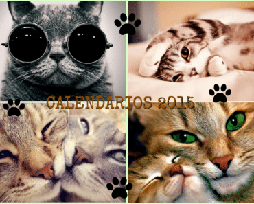 Calendarios de Gatos 2015