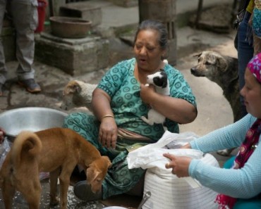 La mujer que ayuda a perros tras el terremoto de Nepal