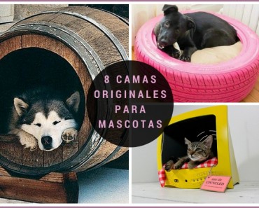 8 buenas ideas de camas originales para mascotas