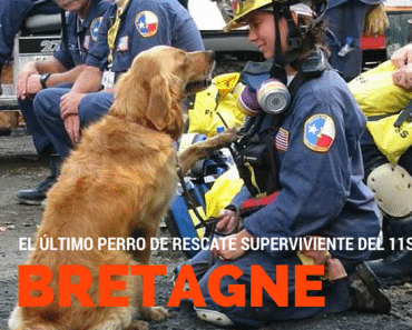 El último perro de rescate superviviente del 11S