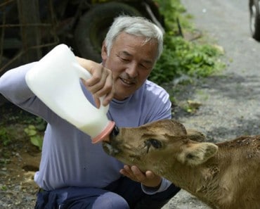 El hombre que volvió a Fukushima a cuidar de los animales que fueron abandonados
