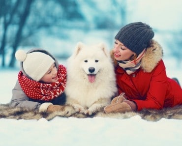 ¿Mascotas para regalar en Navidad?