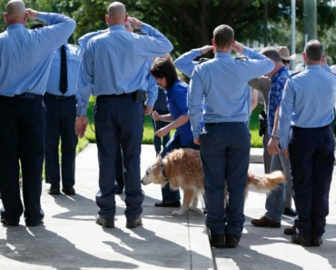 Muere Bretagne, el último perro de rescate del 11S