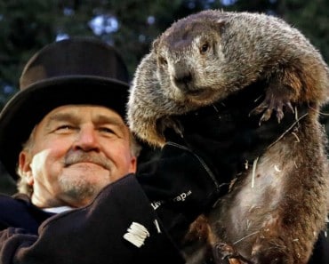 2 de Febrero, día de la Marmota: ¿Quién es la marmota Phil?
