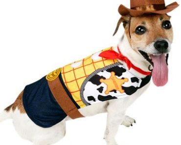 125 nombres para mascotas Disney