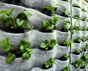 20 ideas sorprendentes para hacer jardines verticales en casa