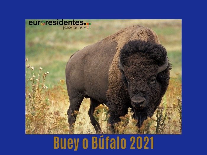 Buey o Búfalo 2021 Horóscopo Chino