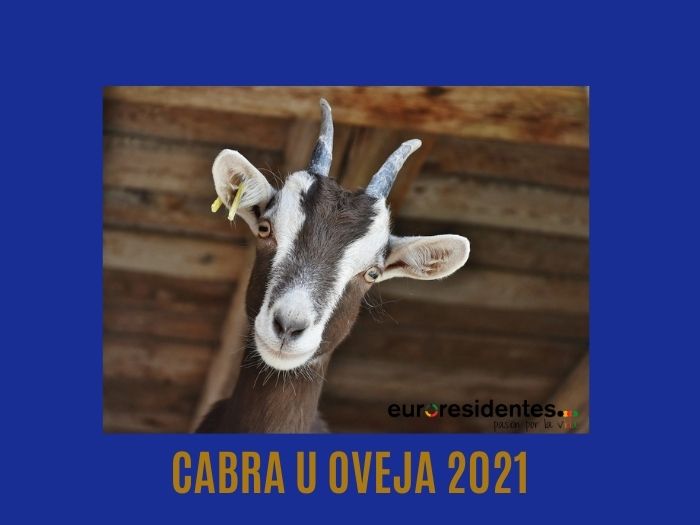 Cabra u Oveja 2021 Horóscopo Chino