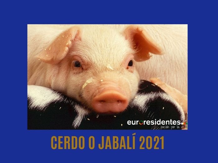 Cerdo o Jabalí 2021 Horóscopo Chino