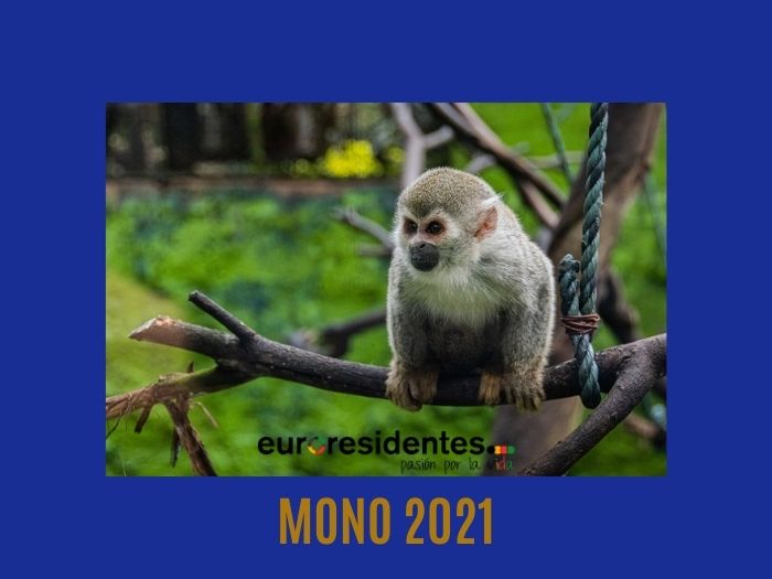 Mono 2021 Horóscopo Chino