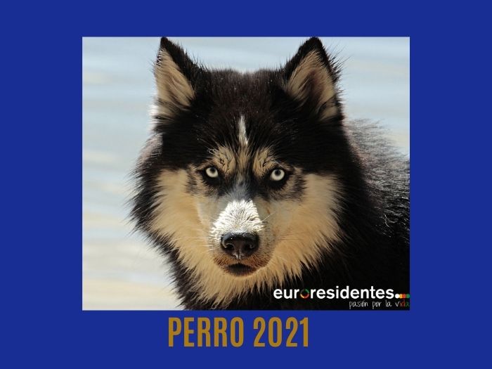 Perro 2021 Horóscopo Chino