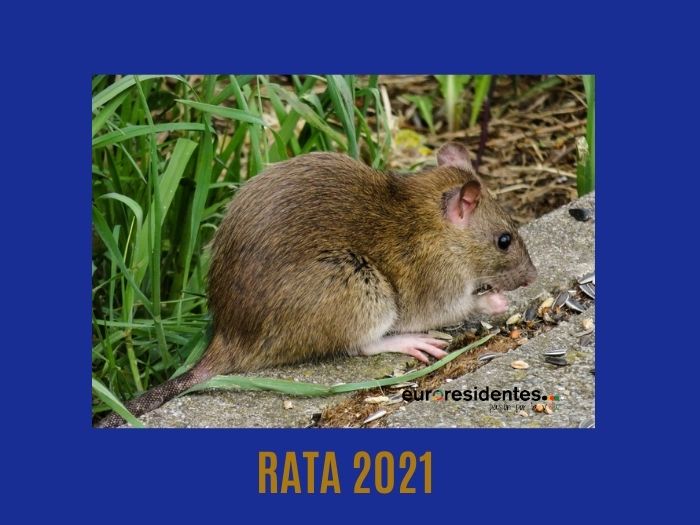 Rata 2021 Horóscopo Chino