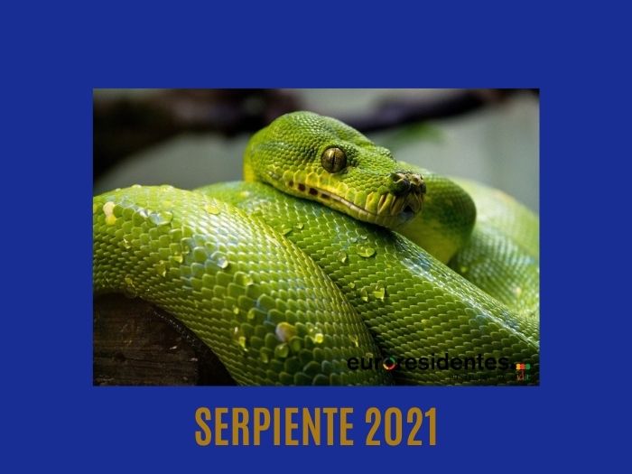 Serpiente 2021 Horóscopo Chino