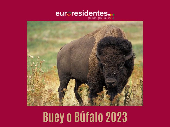 Buey o Búfalo 2023 Horóscopo Chino