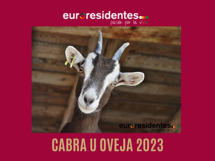 Año de la Liebre o Conejo o Gato de Agua Horóscopo Chino 2023