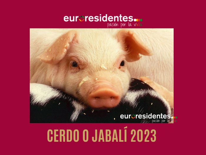 Cerdo o Jabalí 2023 Horóscopo Chino