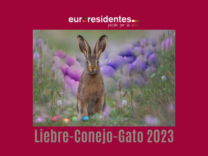 Liebre o Gato o Conejo 2023 Horóscopo Chino