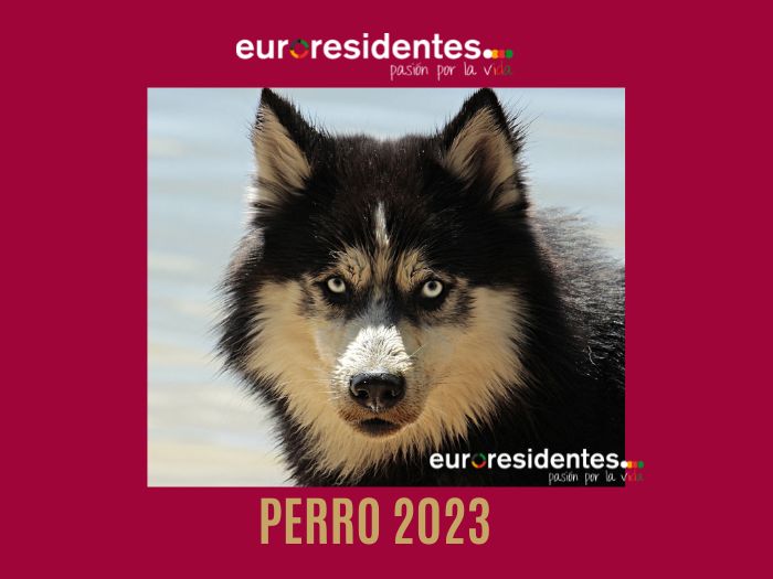 Perro 2023 Horóscopo Chino