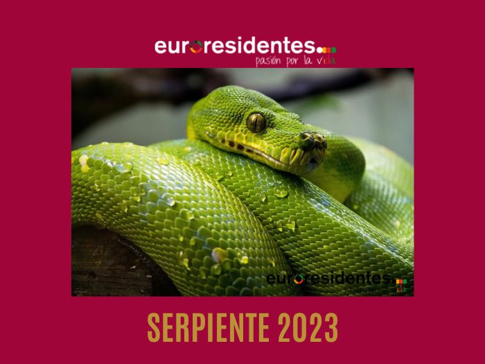 Serpiente 2023 Horóscopo Chino