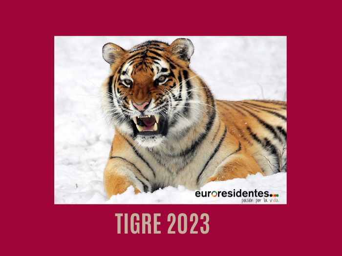 Tigre 2023 Horóscopo Chino