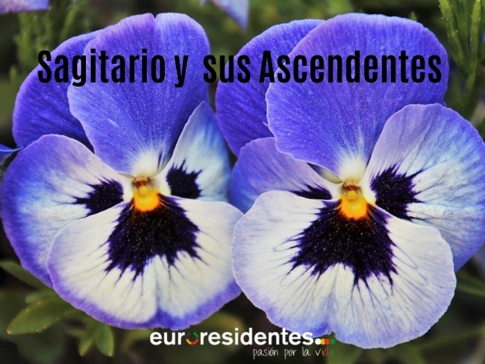 Sagitario y sus Ascendentes