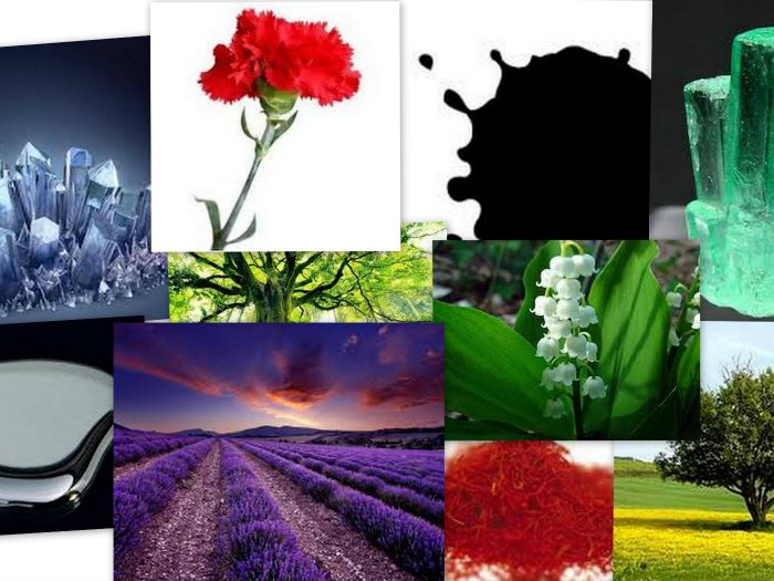 Plataformas para publicar blogs