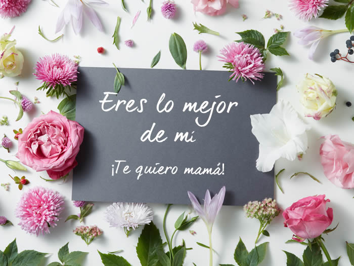 Frases para el día de la madre