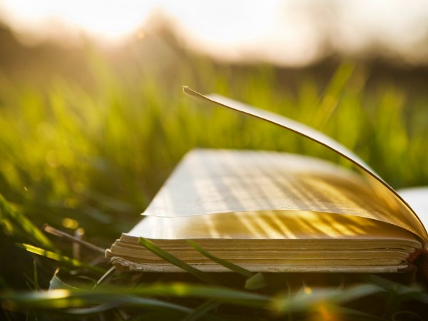 libros de autoayuda