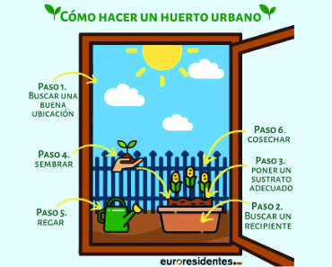 Pasos para hacer un huerto urbano