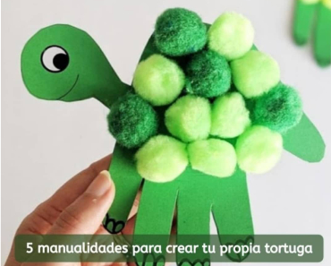 Ideas para hacer una tortuga de manualidades
