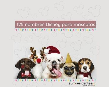 Nombres Disney de mascota