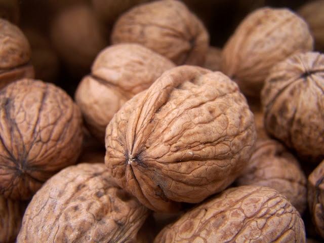 Omega 3 y envejecimiento