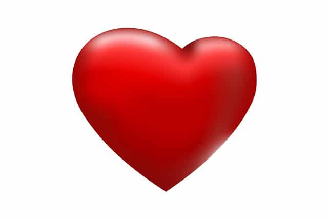 Un extracto de algas previene las enfermedades cardiovasculares