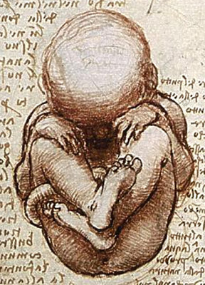 Secuenciación del genoma fetal a partir de una muestra materna