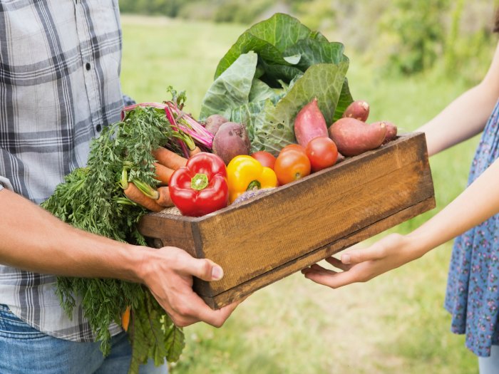 Los alimentos orgánicos son mejores que los convencionales? - Salud hoy