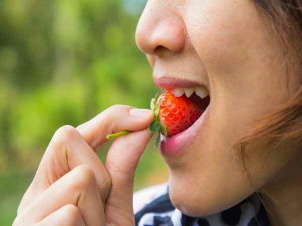 Una dieta podría reducir el riesgo de Alzheimer Una dieta podría reducir el riesgo de Alzheimer