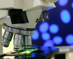 Autofagocitosis: La técnica del último Nobel de Medicina