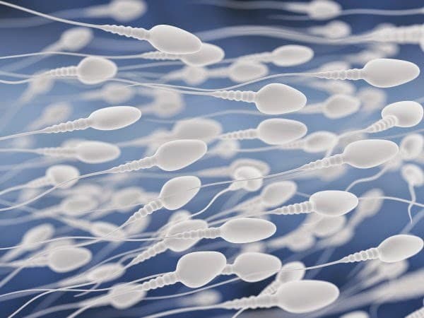 Alergia al esperma: una causa de infertilidad