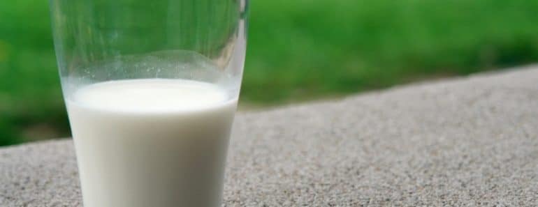 Qué es mejor la leche entera o la desnatada