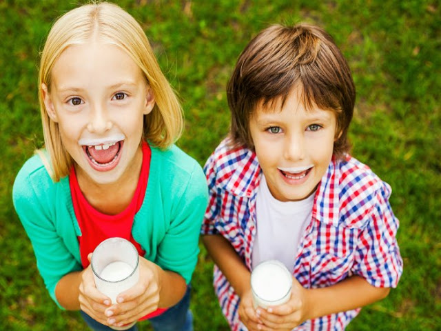 Alternativas a la leche de vaca para niños