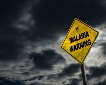 Malaria: síntomas, tratamiento y prevención