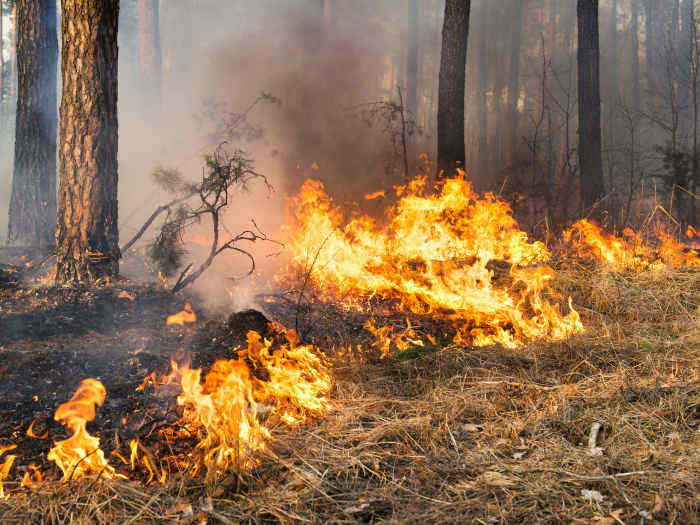 soñar con incendio