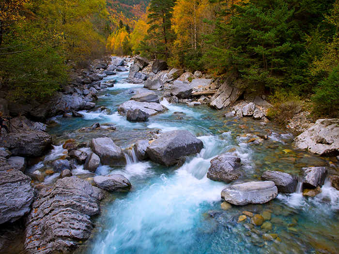 soñar con río