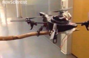 Un nuevo dron con patas puede posarse, ver y caminar como un pájaro