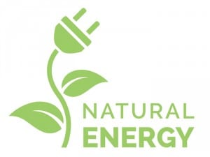 Propiedades eléctricas de las plantas