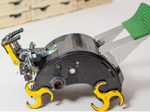 Robots termita