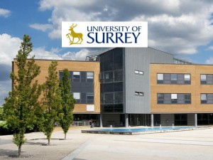 Nanohebras de plata para pantallas flexibles - Universidad de Surrey
