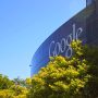El “nuevo Google”, Alphabet