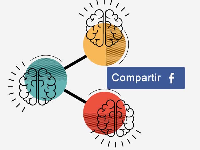 Facebook proyecto comunicación ondas cerebrales